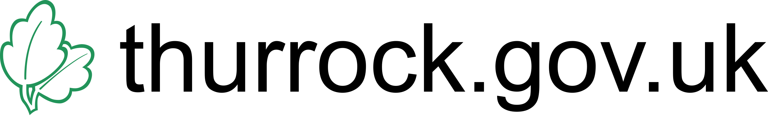 Council Logo
